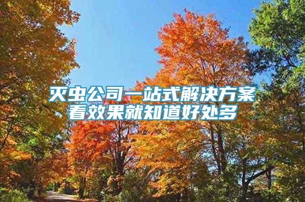 灭虫公司一站式解决方案看效果就知道好处多