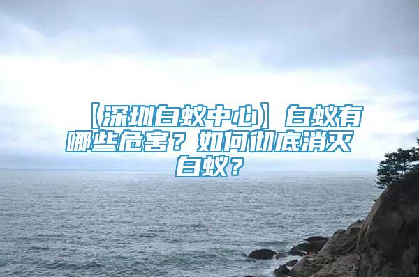 【深圳白蚁中心】白蚁有哪些危害？如何彻底消灭白蚁？