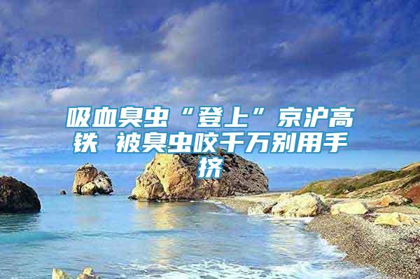 吸血臭虫“登上”京沪高铁 被臭虫咬千万别用手挤