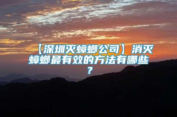 【深圳灭蟑螂公司】消灭蟑螂最有效的方法有哪些？