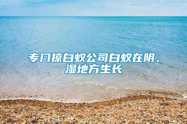 专门掠白蚁公司白蚁在阴、湿地方生长