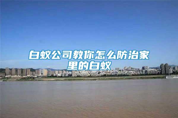 白蚁公司教你怎么防治家里的白蚁