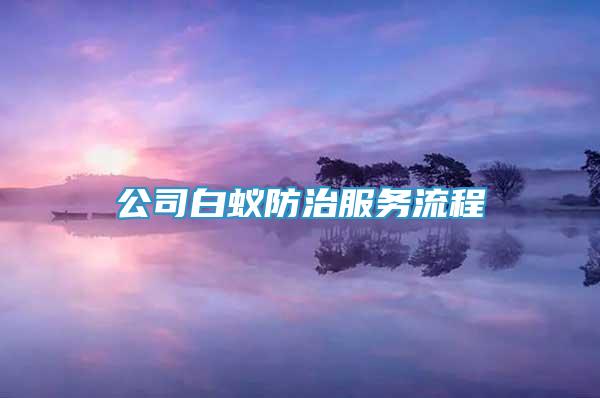 公司白蚁防治服务流程