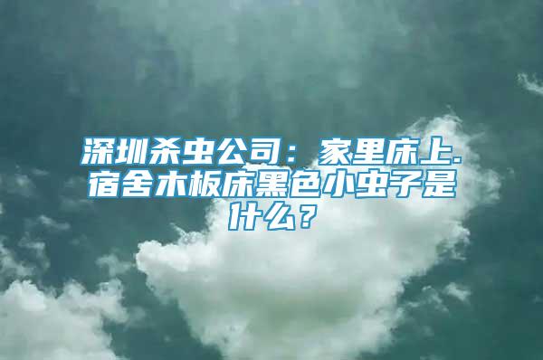 深圳杀虫公司：家里床上.宿舍木板床黑色小虫子是什么？