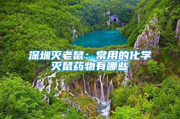 深圳灭老鼠：常用的化学灭鼠药物有哪些