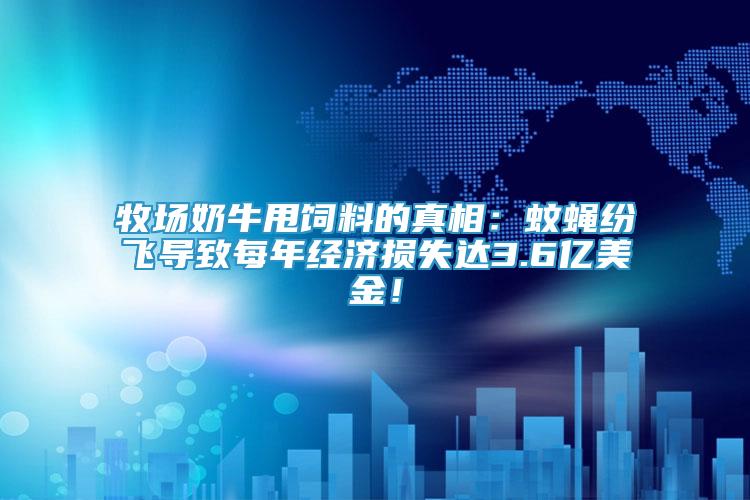 牧场奶牛甩饲料的真相：蚊蝇纷飞导致每年经济损失达3.6亿美金！