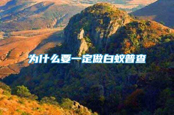 为什么要一定做白蚁普查