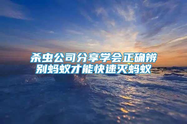 杀虫公司分享学会正确辨别蚂蚁才能快速灭蚂蚁