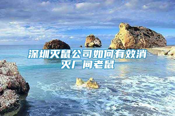 深圳灭鼠公司如何有效消灭厂间老鼠