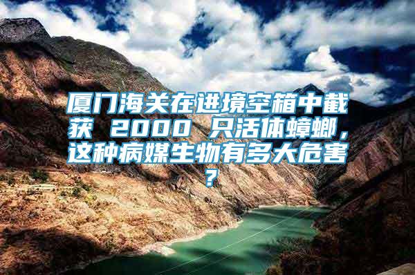 厦门海关在进境空箱中截获 2000 只活体蟑螂，这种病媒生物有多大危害？