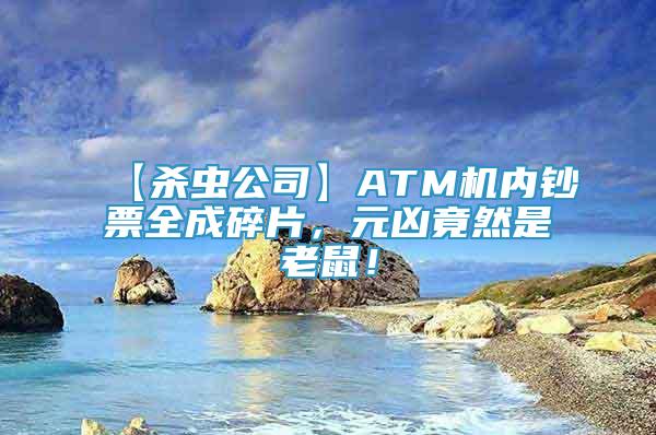 【杀虫公司】ATM机内钞票全成碎片，元凶竟然是老鼠！