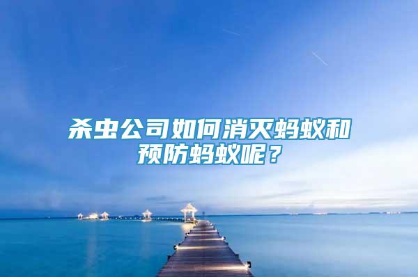 杀虫公司如何消灭蚂蚁和预防蚂蚁呢？