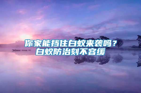 你家能挡住白蚁来袭吗？白蚁防治刻不容缓