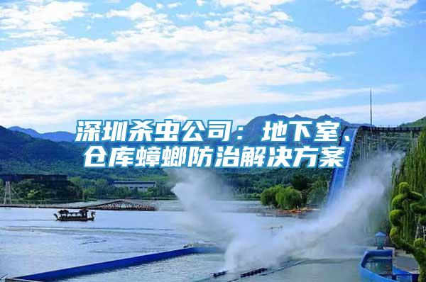 深圳杀虫公司：地下室、仓库蟑螂防治解决方案