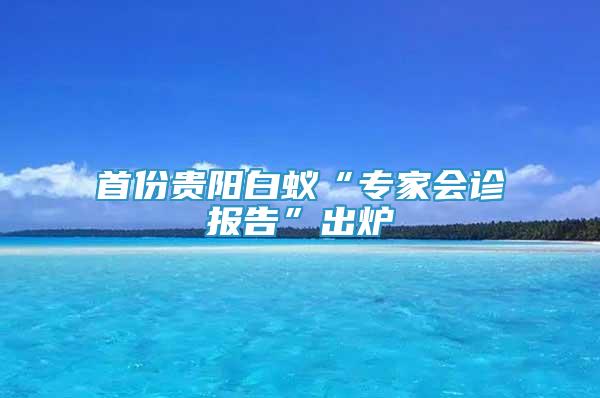 首份贵阳白蚁“专家会诊报告”出炉