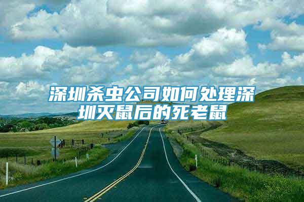 深圳杀虫公司如何处理深圳灭鼠后的死老鼠