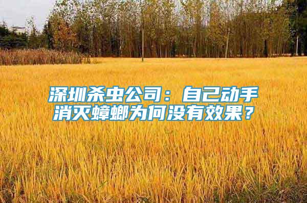 深圳杀虫公司：自己动手消灭蟑螂为何没有效果？