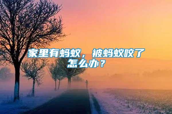 家里有蚂蚁，被蚂蚁咬了怎么办？