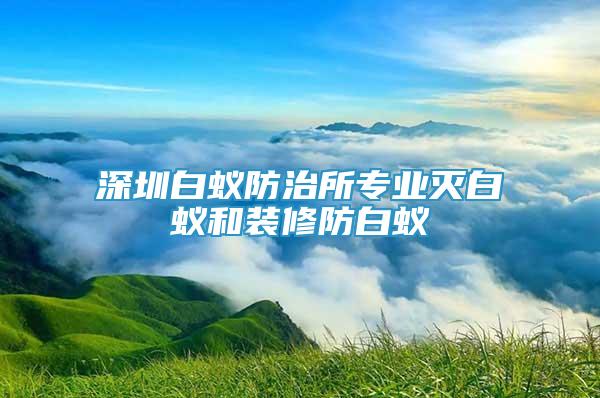 深圳白蚁防治所专业灭白蚁和装修防白蚁