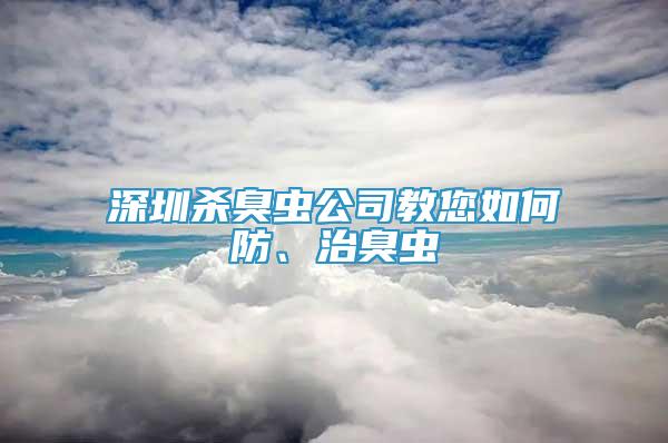 深圳杀臭虫公司教您如何防、治臭虫