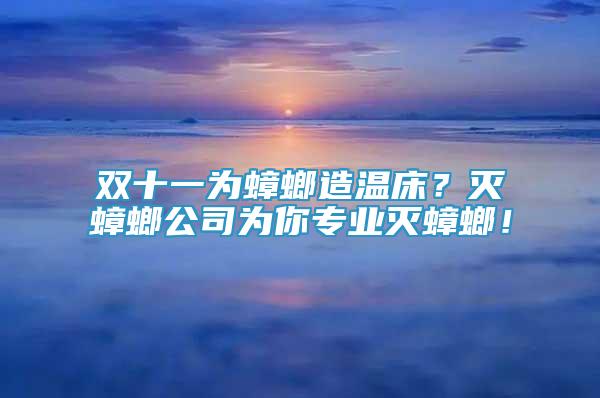 双十一为蟑螂造温床？灭蟑螂公司为你专业灭蟑螂！