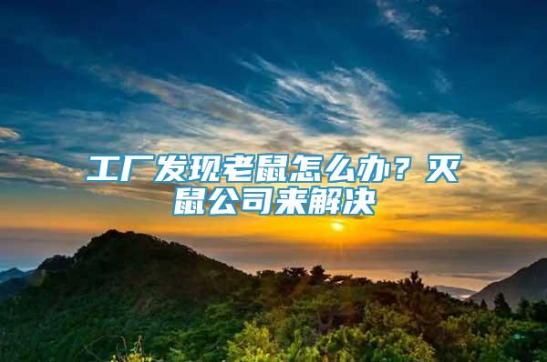 工厂发现老鼠怎么办？灭鼠公司来解决