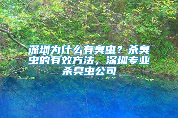 深圳为什么有臭虫？杀臭虫的有效方法，深圳专业杀臭虫公司