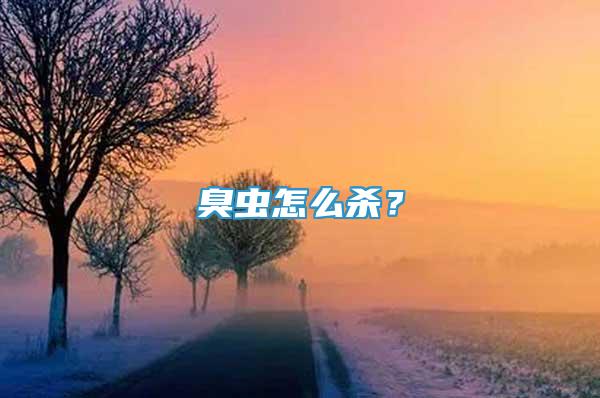 臭虫怎么杀？