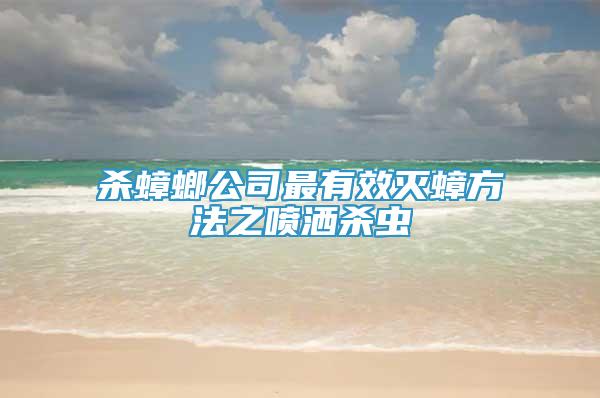 杀蟑螂公司最有效灭蟑方法之喷洒杀虫