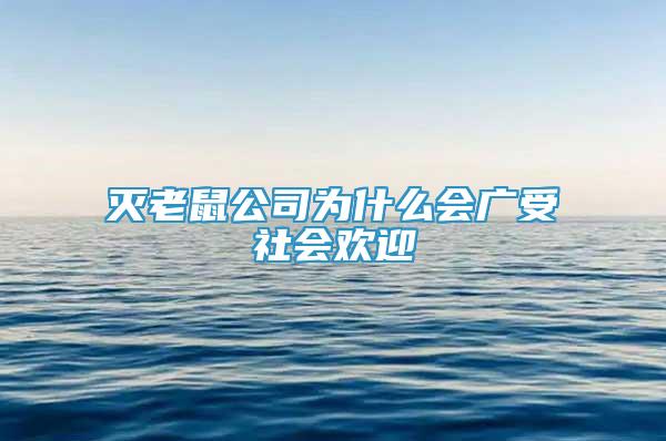 灭老鼠公司为什么会广受社会欢迎