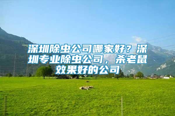 深圳除虫公司哪家好？深圳专业除虫公司，杀老鼠效果好的公司