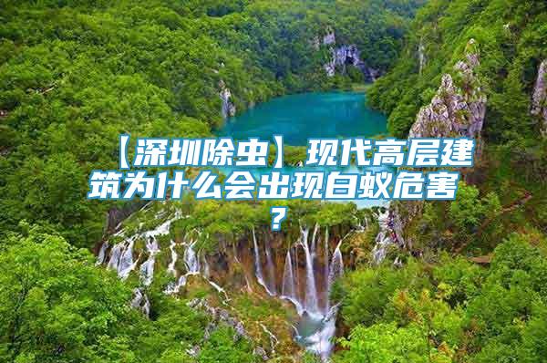 【深圳除虫】现代高层建筑为什么会出现白蚁危害？