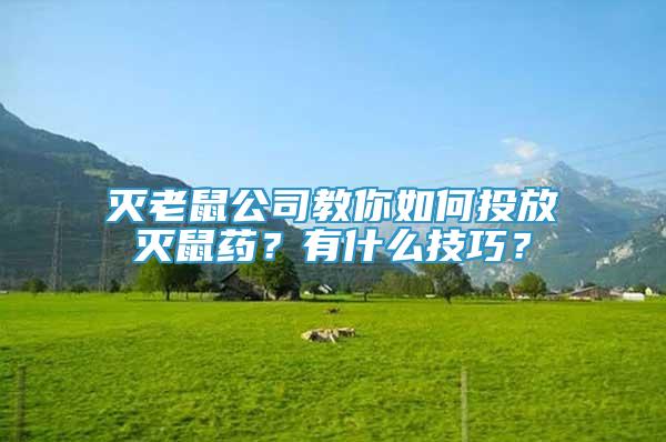 灭老鼠公司教你如何投放灭鼠药？有什么技巧？