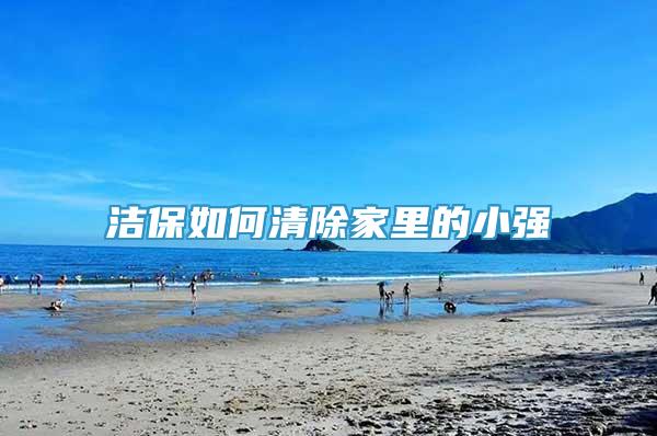 洁保如何清除家里的小强