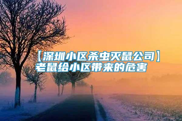 【深圳小区杀虫灭鼠公司】老鼠给小区带来的危害