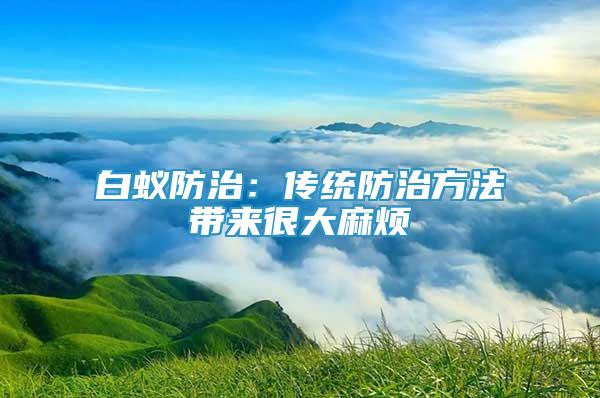 白蚁防治：传统防治方法带来很大麻烦