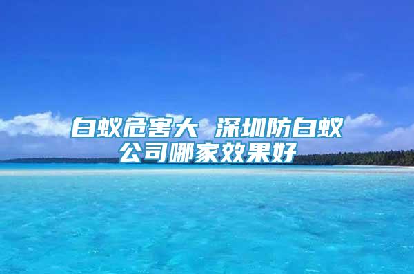 白蚁危害大 深圳防白蚁公司哪家效果好