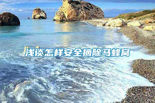 浅谈怎样安全摘除马蜂窝