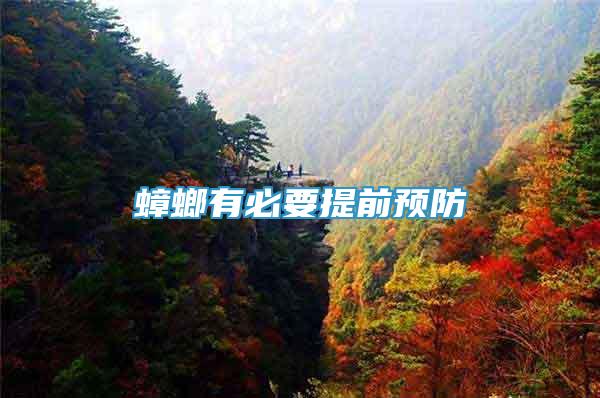 蟑螂有必要提前预防