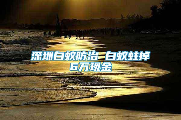 深圳白蚁防治 白蚁蛀掉6万现金