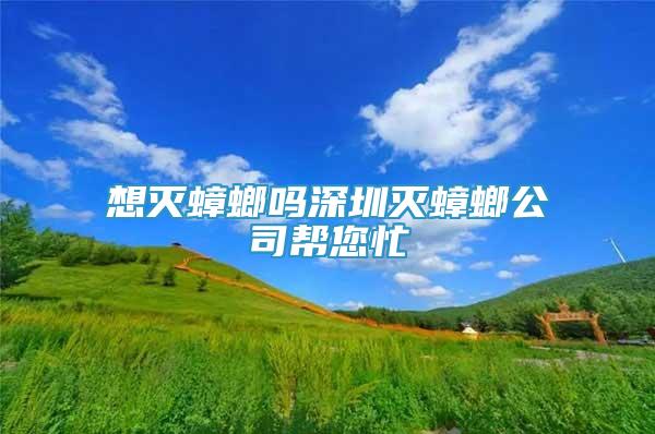 想灭蟑螂吗深圳灭蟑螂公司帮您忙