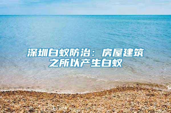 深圳白蚁防治：房屋建筑之所以产生白蚁