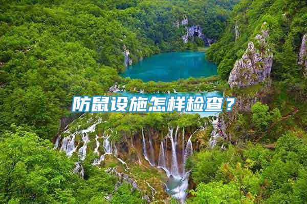防鼠设施怎样检查？