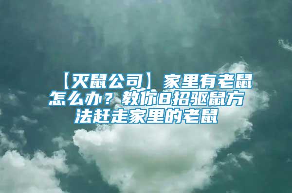 【灭鼠公司】家里有老鼠怎么办？教你8招驱鼠方法赶走家里的老鼠