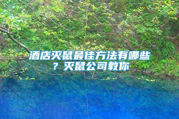 酒店灭鼠最佳方法有哪些？灭鼠公司教你