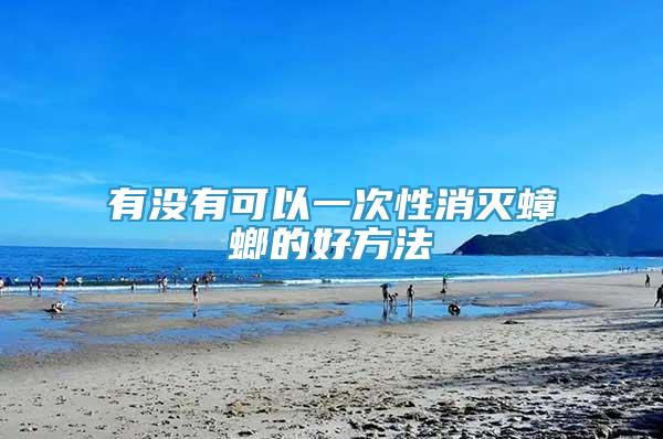 有没有可以一次性消灭蟑螂的好方法