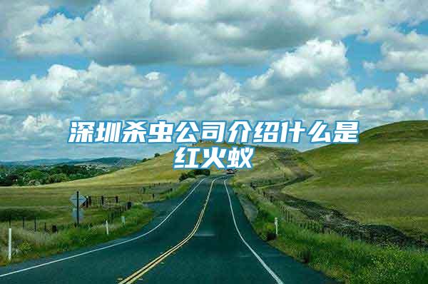 深圳杀虫公司介绍什么是红火蚁