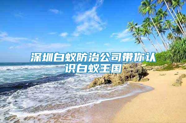 深圳白蚁防治公司带你认识白蚁王国