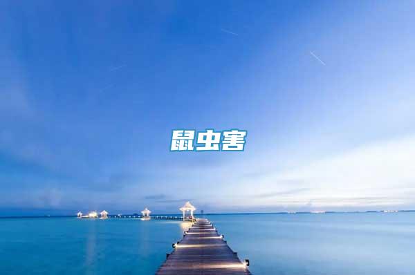鼠虫害