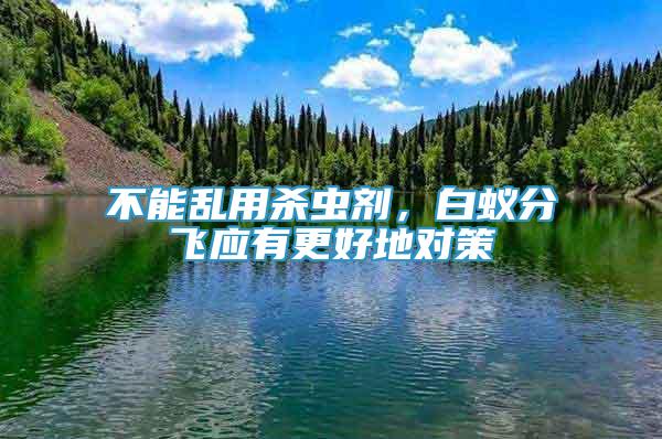 不能乱用杀虫剂，白蚁分飞应有更好地对策